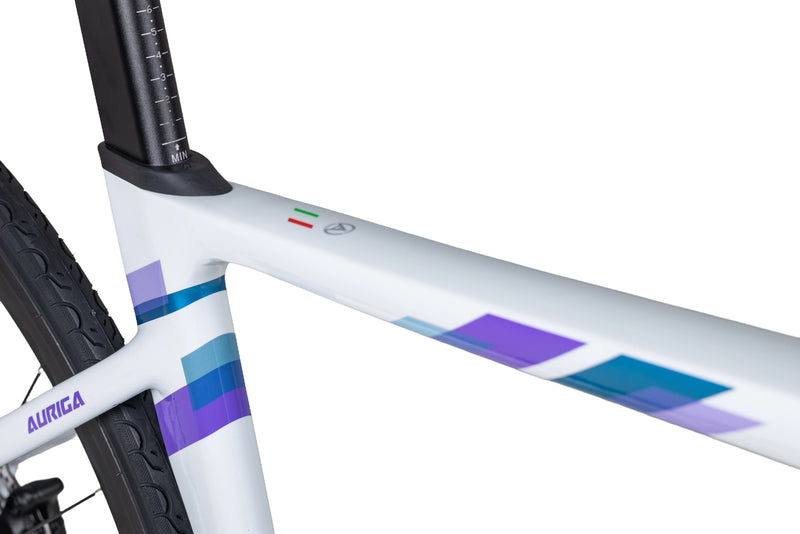 Load image into Gallery viewer, JAVA Auriga Aluminum Road Bike 12 Speed