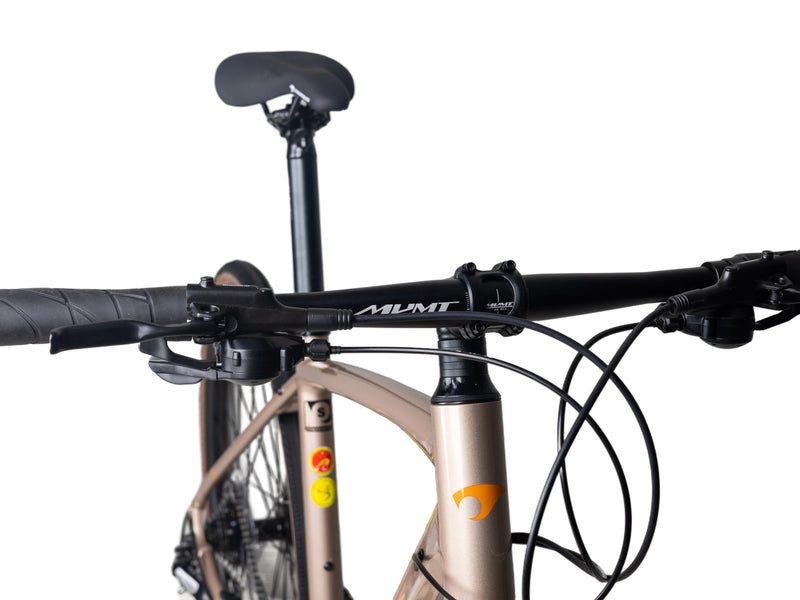 Load image into Gallery viewer, Pardus Legend Sport Hybrid Bike