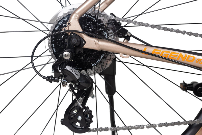 Load image into Gallery viewer, Pardus Legend Sport Hybrid Bike