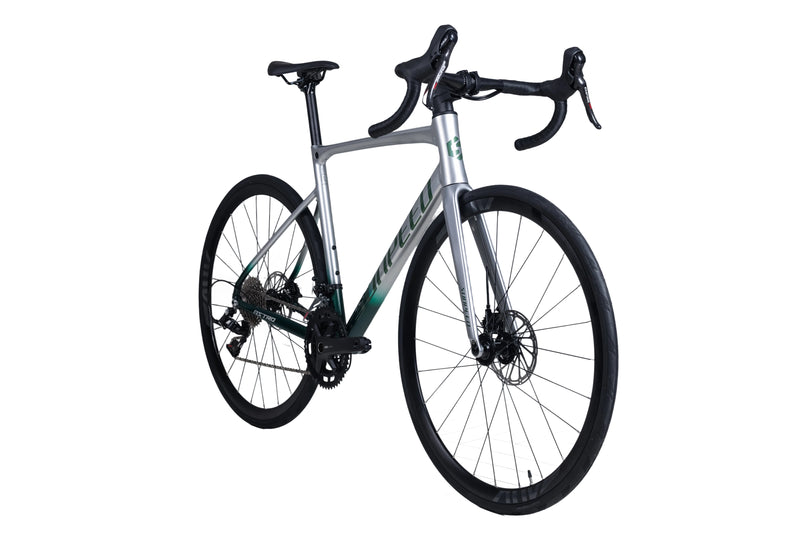 Load image into Gallery viewer, Sunpeed Astro Road Bike 12 Speed