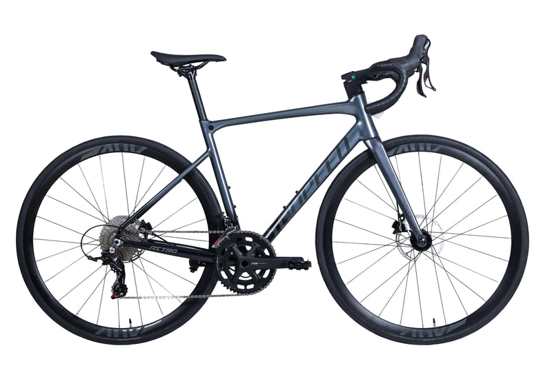 Load image into Gallery viewer, Sunpeed Astro Road Bike 12 Speed