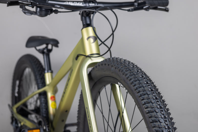 Load image into Gallery viewer, Pardus Mini Naik RS 24 Inch Kids Mountain Bike