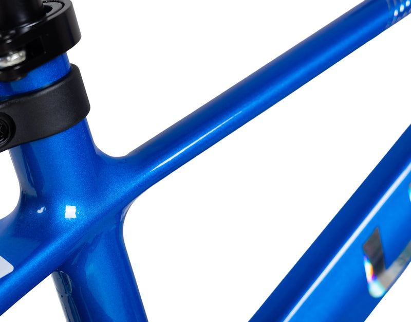 Load image into Gallery viewer, LanQ Flash Kids Bike Children Bicycle