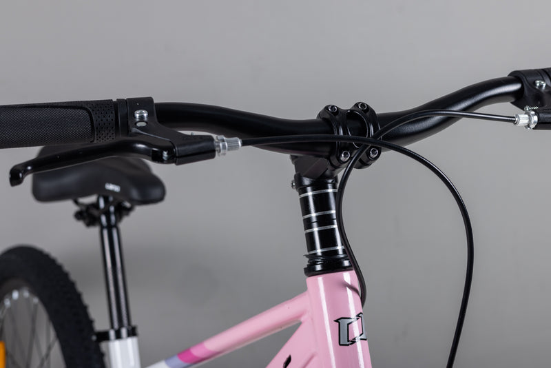 Load image into Gallery viewer, LANQ Flash 22 Inch Magnesium Alloy Kids Bike Children Bicycle