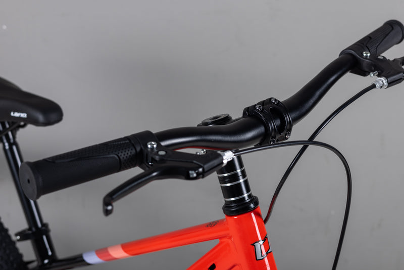 Load image into Gallery viewer, LANQ Flash 22 Inch Magnesium Alloy Kids Bike Children Bicycle