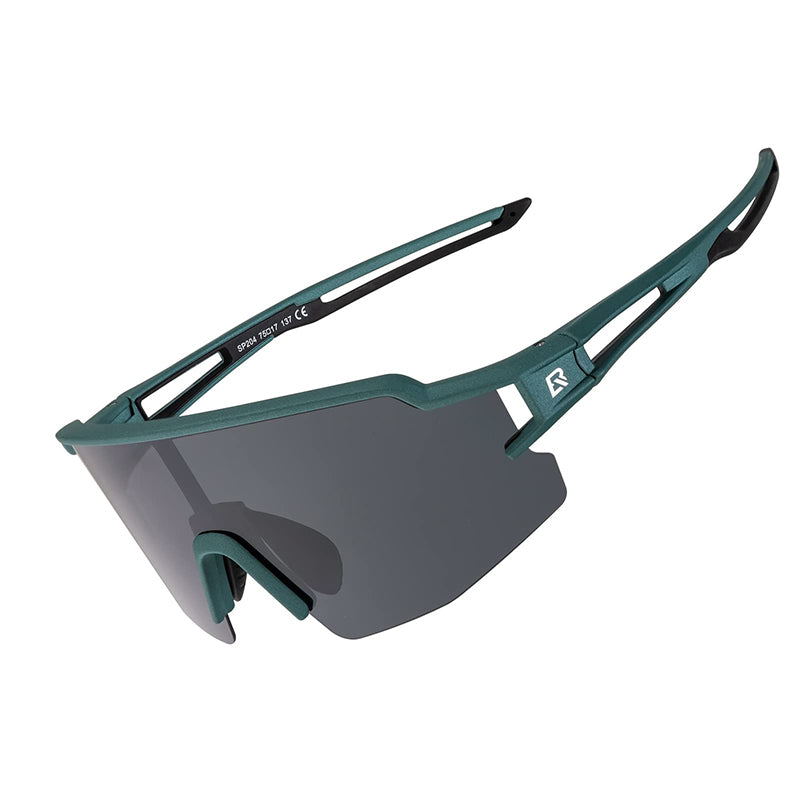 Load image into Gallery viewer, ROCKBROS Polarized Sunglasses  UV Protection Cycling Sunglasses 1017
