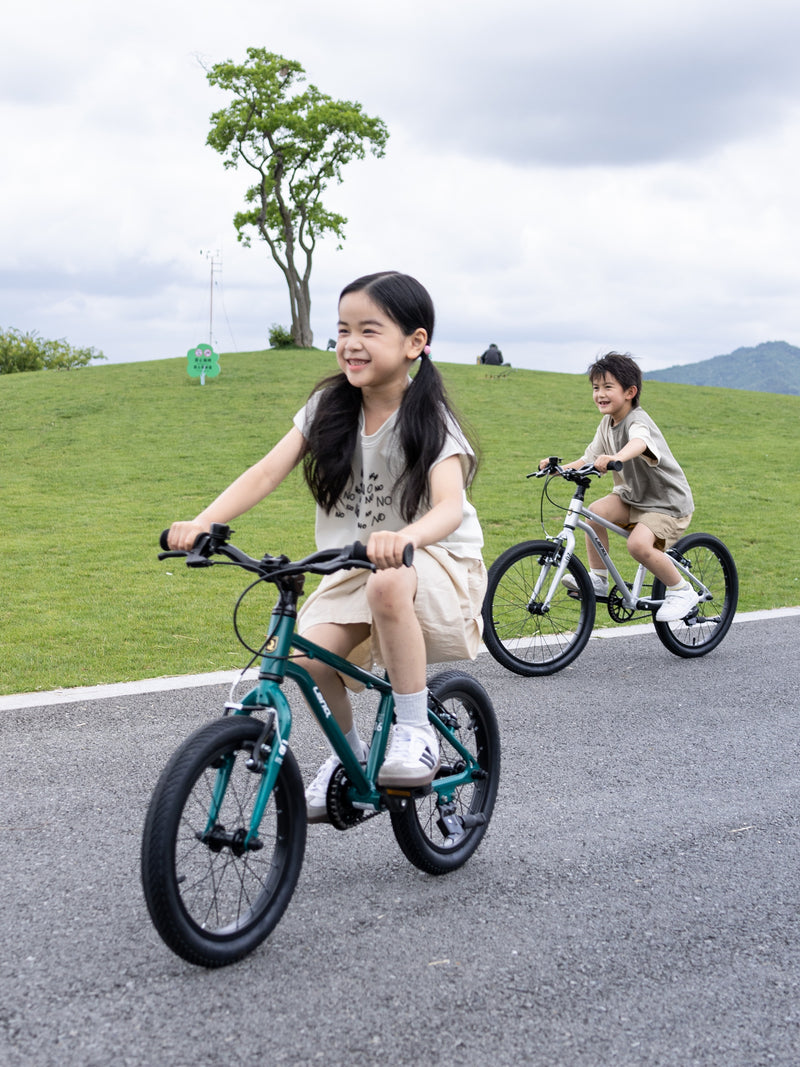 Load image into Gallery viewer, LanQ Light Aluminum Alloy Kids Bike Light Weight Children Bike