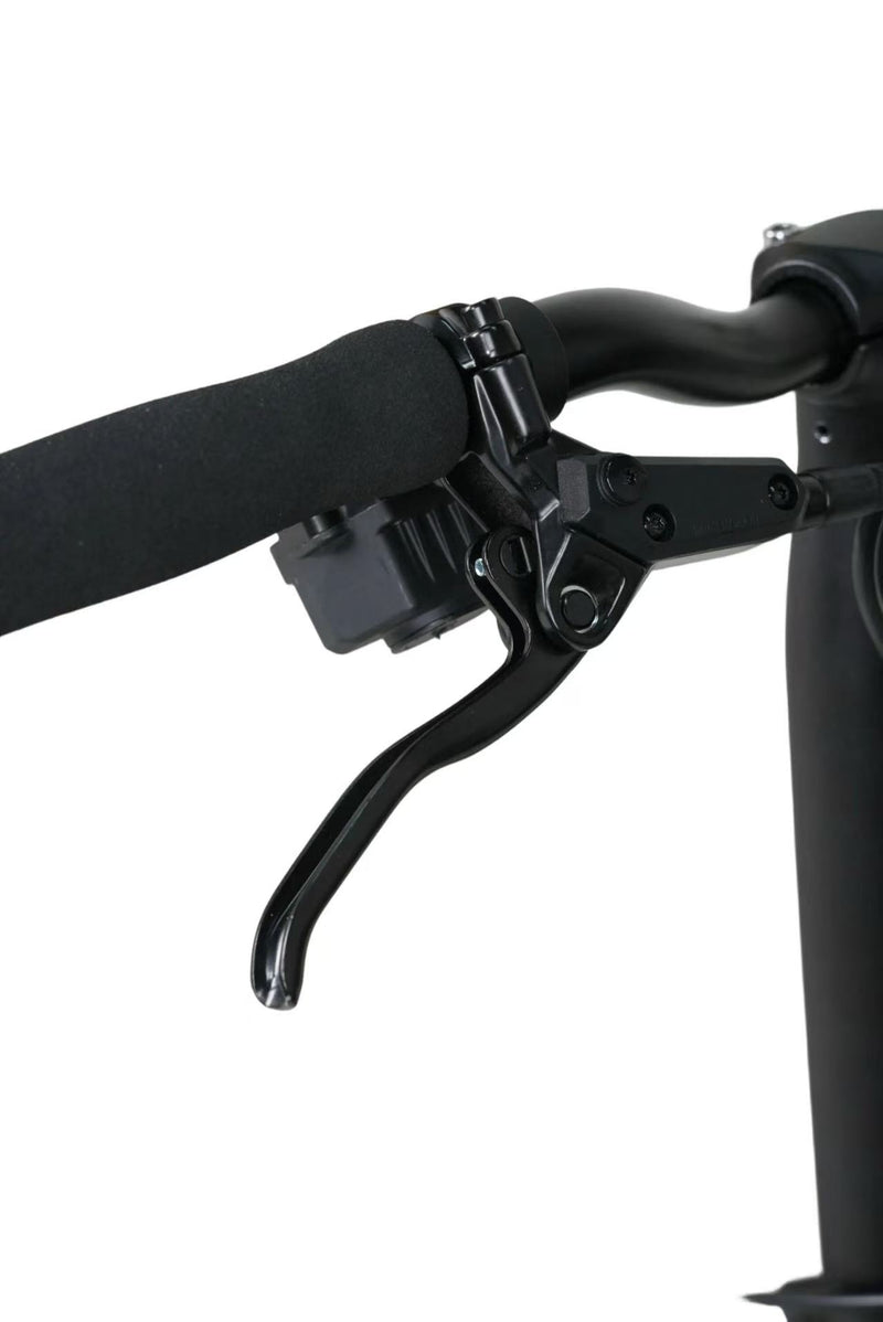 Load image into Gallery viewer, JAVA NEO 12Speed E-shifter 16 Inch Triple-fold Folding Bike