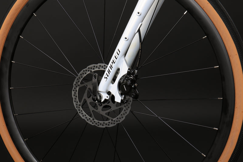 Load image into Gallery viewer, Sunpeed Kepler Hybrid Bike