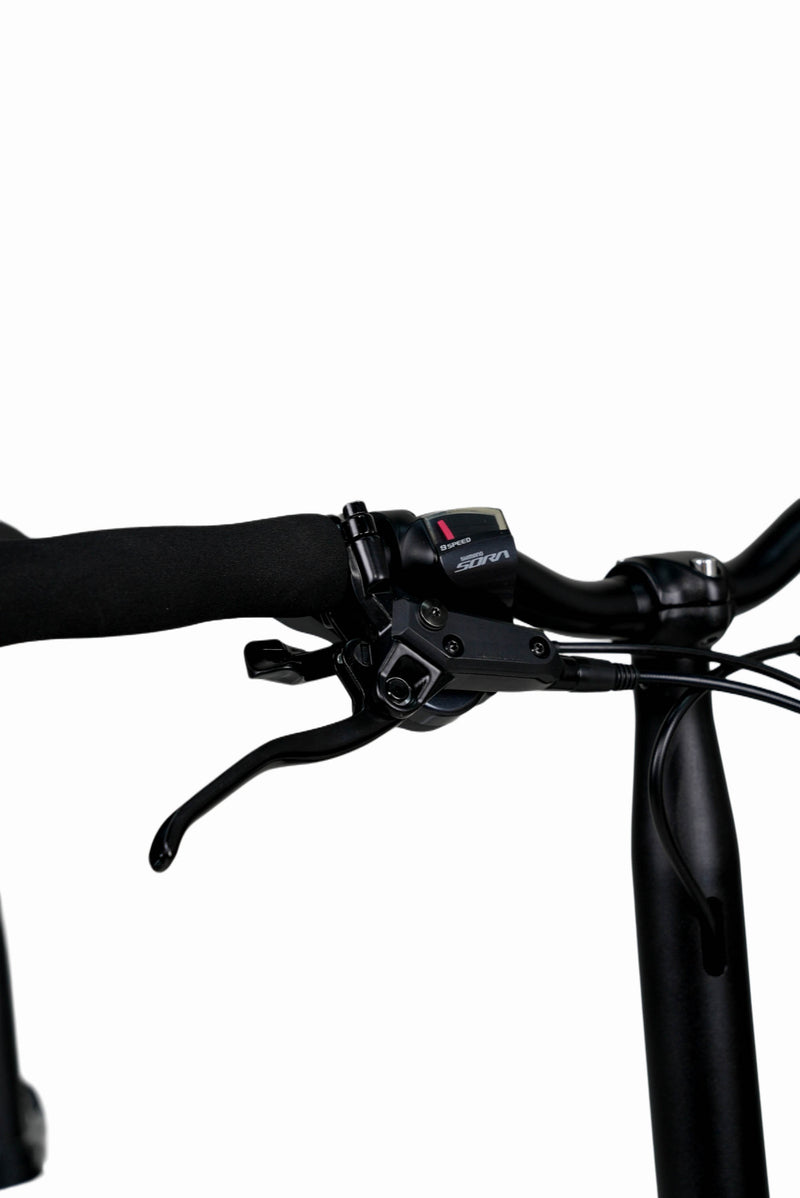 Load image into Gallery viewer, JAVA NEO 9 Speed 16 Inch Triple-fold Folding Bike