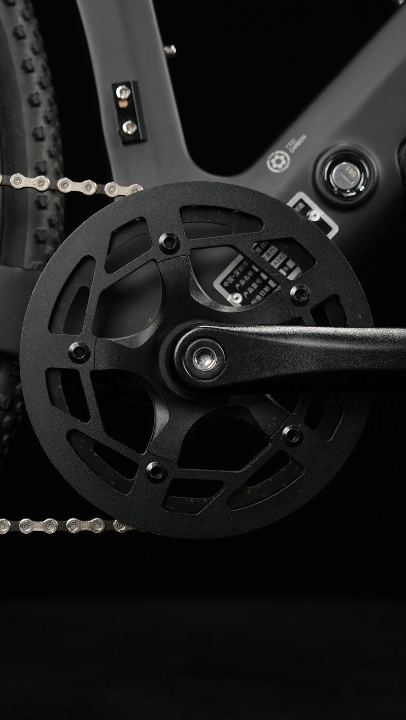 Load image into Gallery viewer, JAVA Riva Hybrid Carbon Pedelec E-bike