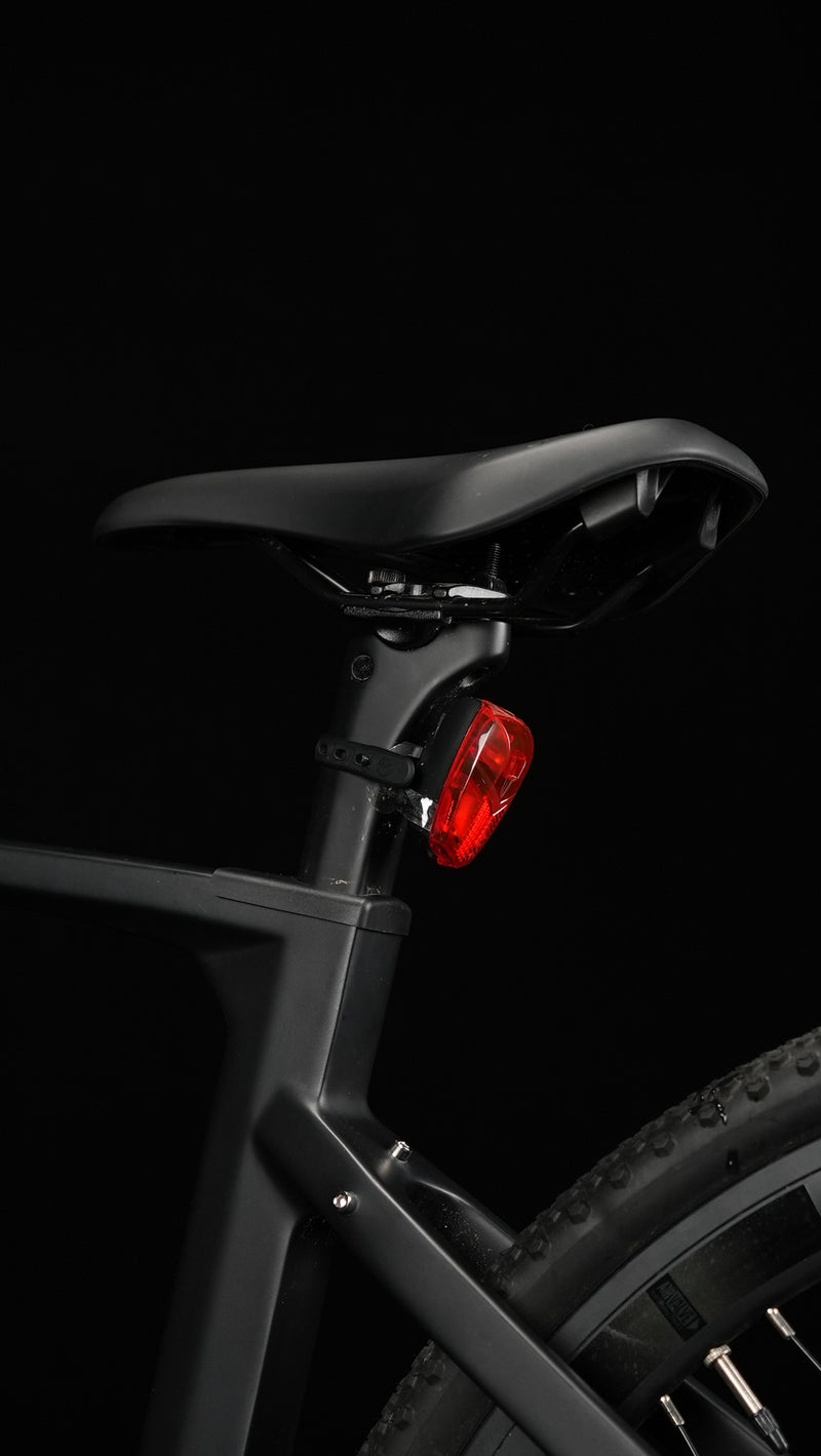 Load image into Gallery viewer, JAVA Riva Hybrid Carbon Pedelec E-bike