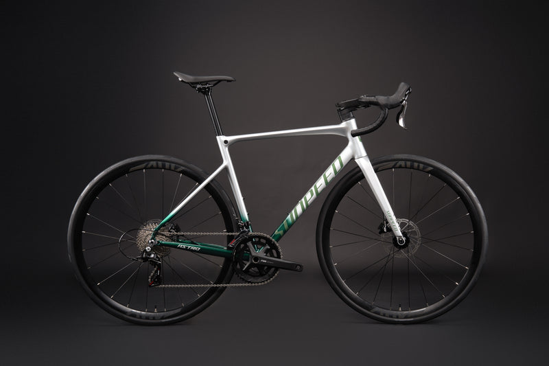 Load image into Gallery viewer, Sunpeed Astro Road Bike 12 Speed