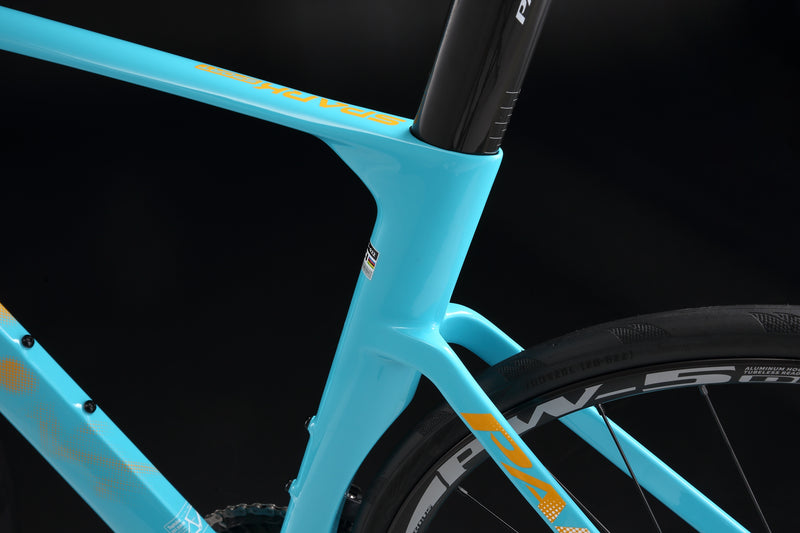 Load image into Gallery viewer, Pardus Spark Sport 105 12 Speed Carbon Road Bike