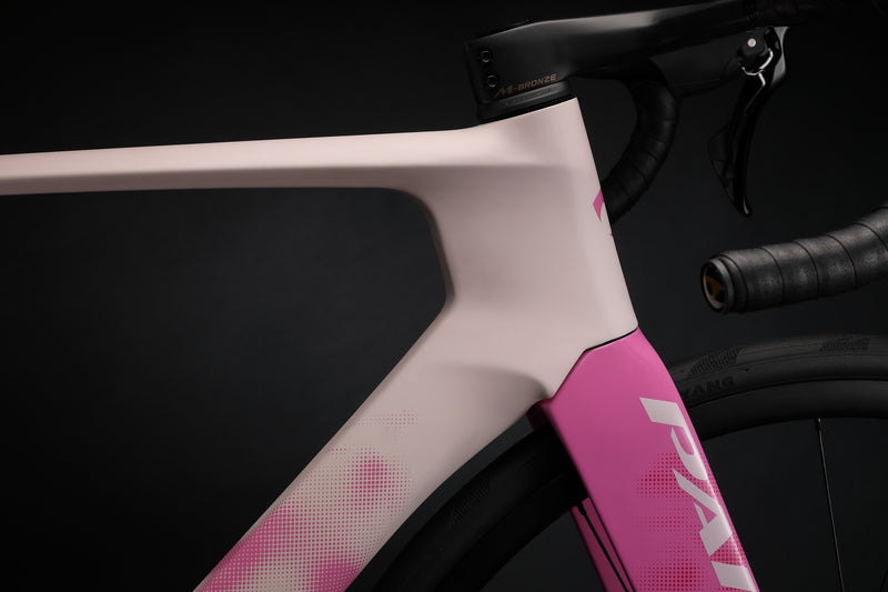 Load image into Gallery viewer, Pardus Spark Sport 105 12 Speed Carbon Road Bike with Carbon Wheelset