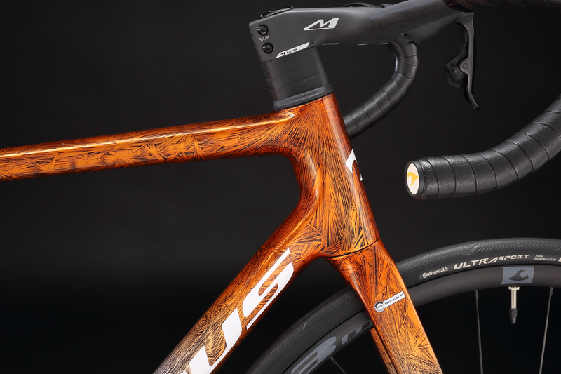 Load image into Gallery viewer, Pardus Robin RS AXS eTap / 105 Di2 Carbon Road Bike with Carbon Wheelset