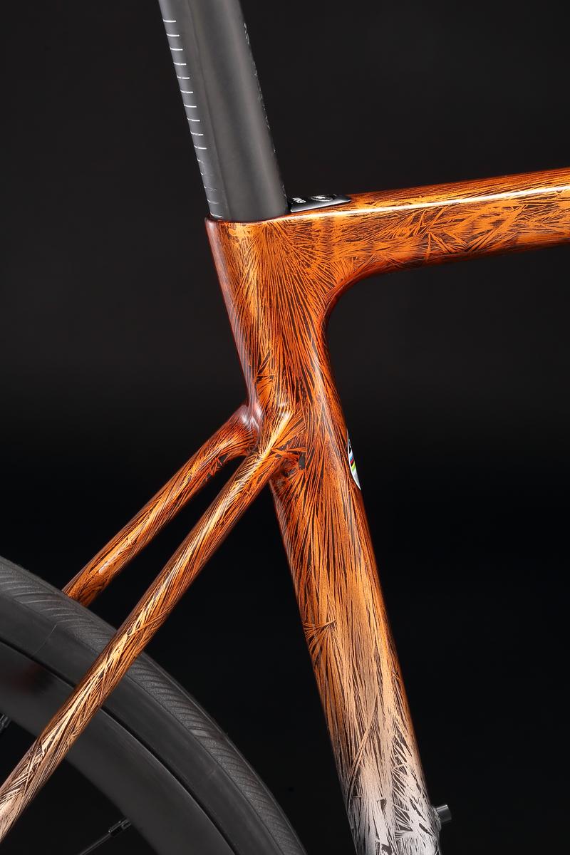 Load image into Gallery viewer, Pardus Robin RS AXS eTap Carbon Road Bike with Carbon Wheelset