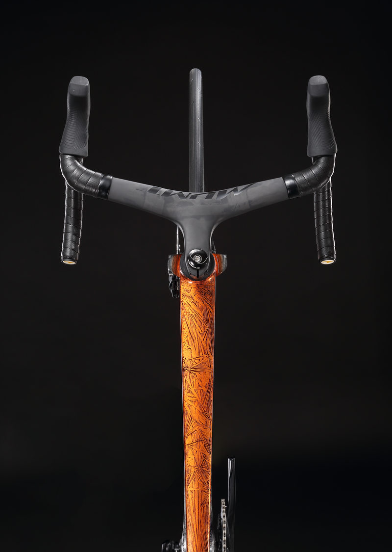 Load image into Gallery viewer, Pardus Robin RS AXS eTap Carbon Road Bike with Carbon Wheelset