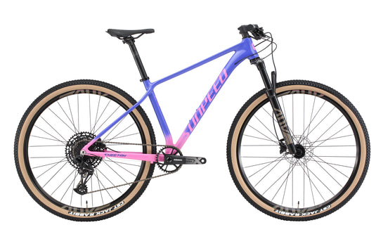 Sunpeed Cheetah Mountain Bike Boost SX12S