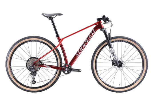 Sunpeed Rock Carbon Mountain Bike