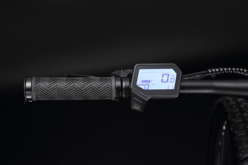 Load image into Gallery viewer, JAVA Scalate Carbon Pedelec E-bike