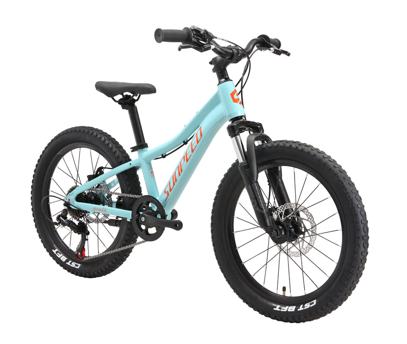 Load image into Gallery viewer, Sunpeed Youth 20 Inch Alloy Kids Bike