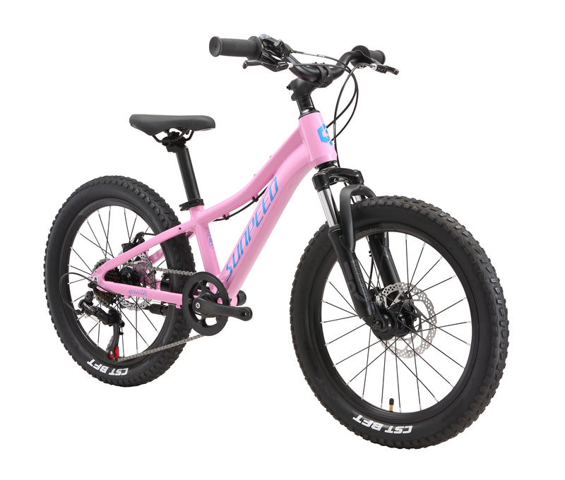 Load image into Gallery viewer, Sunpeed Youth 20 Inch Alloy Kids Bike