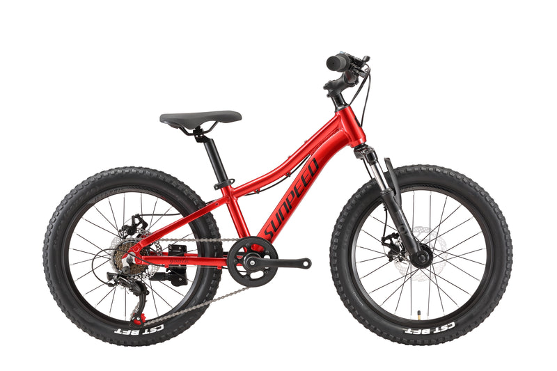 Load image into Gallery viewer, Sunpeed Youth 20 Inch Alloy Kids Bike