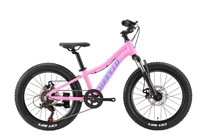 Load image into Gallery viewer, Sunpeed Youth 20 Inch Alloy Kids Bike