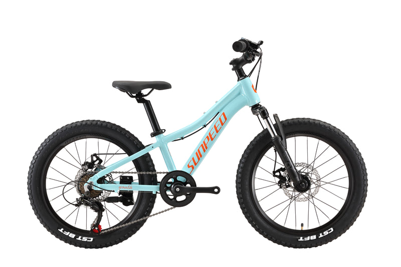 Load image into Gallery viewer, Sunpeed Youth 20 Inch Alloy Kids Bike