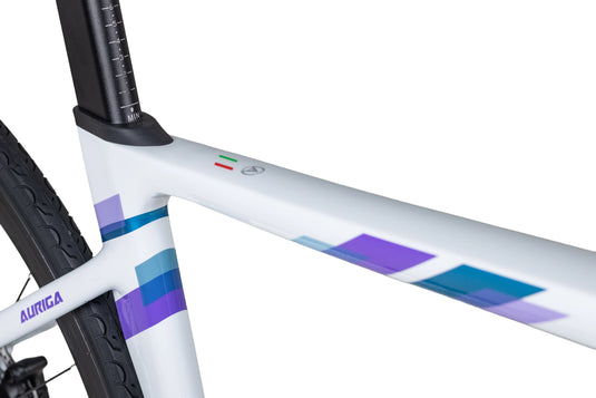 JAVA Auriga Aluminum Road Bike
