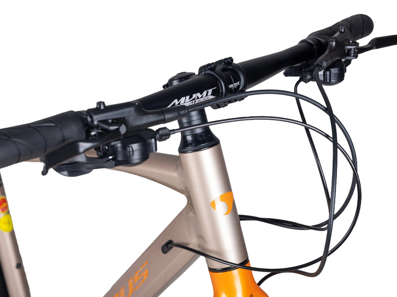 Load image into Gallery viewer, Pardus Legend Sport Hybrid Bike
