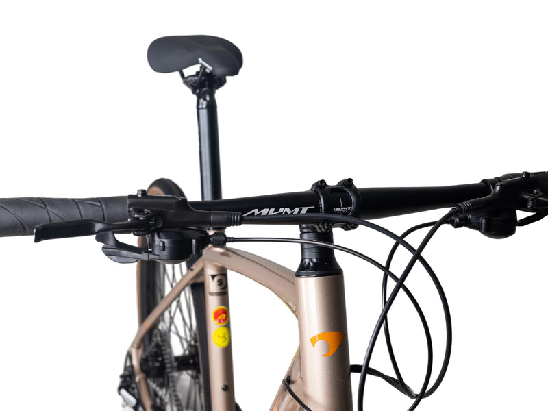 Load image into Gallery viewer, Pardus Legend Sport Hybrid Bike
