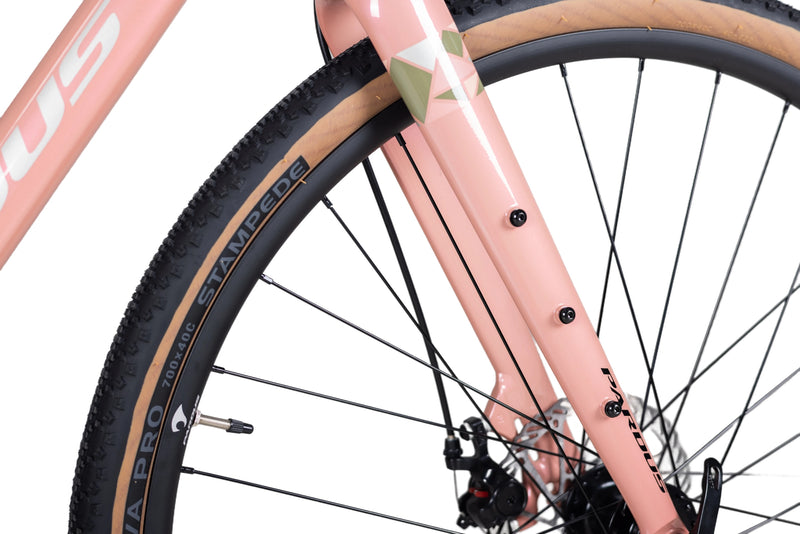 Load image into Gallery viewer, Pardus Explore Sport Gravel Bike
