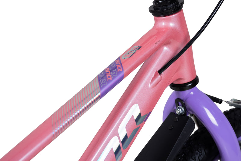 Load image into Gallery viewer, LanQ Flash Kids Bike Children Bicycle
