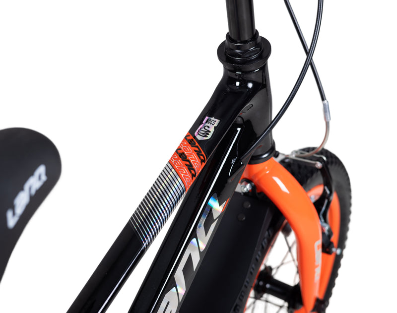 Load image into Gallery viewer, LanQ Flash Kids Bike Children Bicycle
