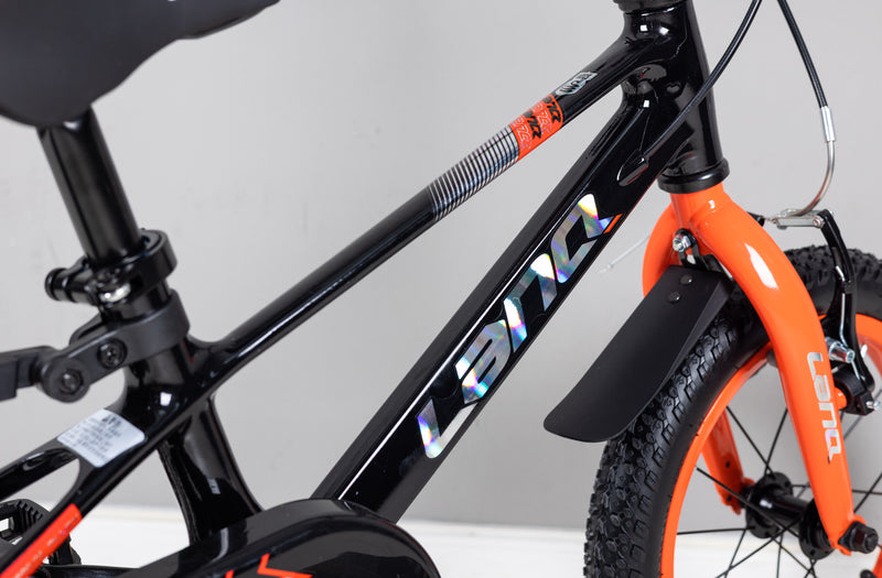 Load image into Gallery viewer, LanQ Flash Kids Bike Children Bicycle
