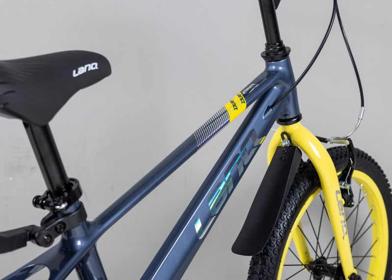 Load image into Gallery viewer, LanQ Flash Kids Bike Children Bicycle
