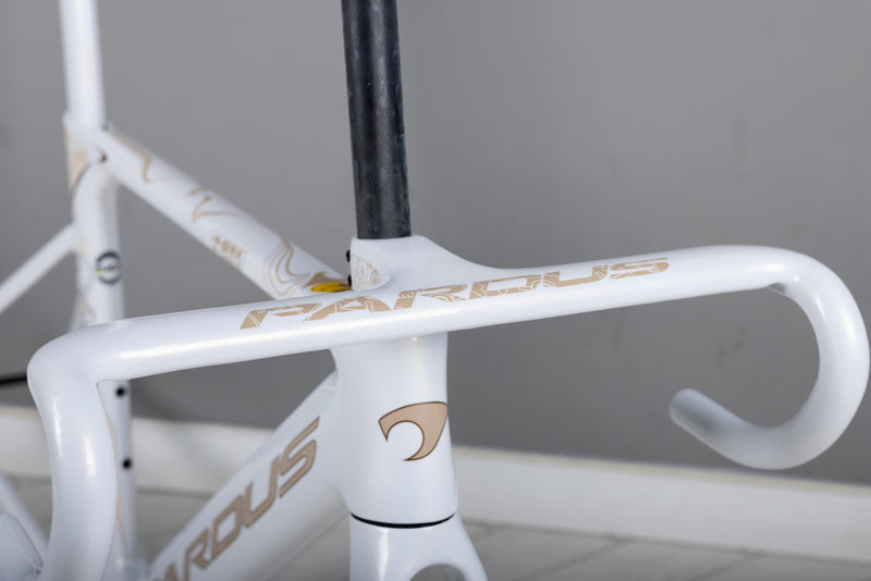 Load image into Gallery viewer, Pardus Spark RS Silk Road Limited Edition 105 Di2  Frameset
