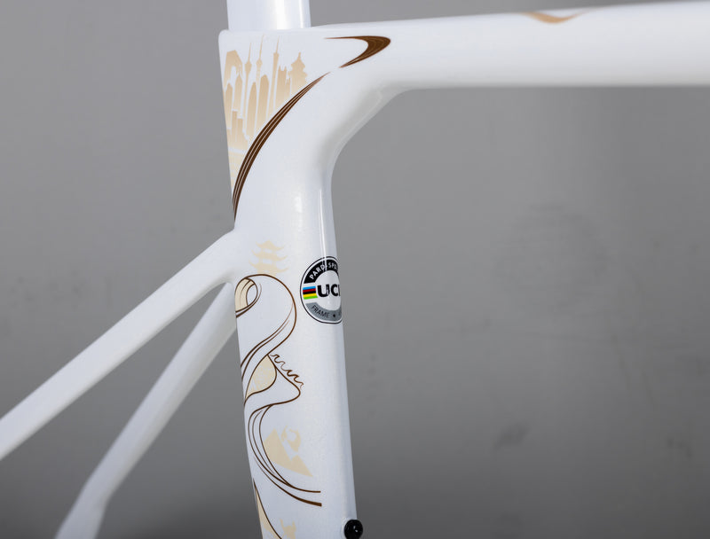 Load image into Gallery viewer, Pardus Spark RS Silk Road Limited Edition 105 Di2  Frameset
