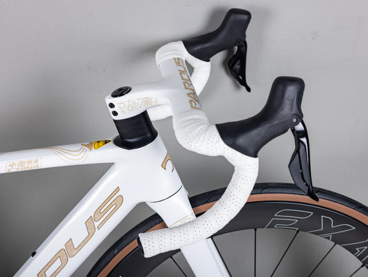 Pardus Spark RS Silk Road Limited Edition 105 Di2 With Carbon Wheel