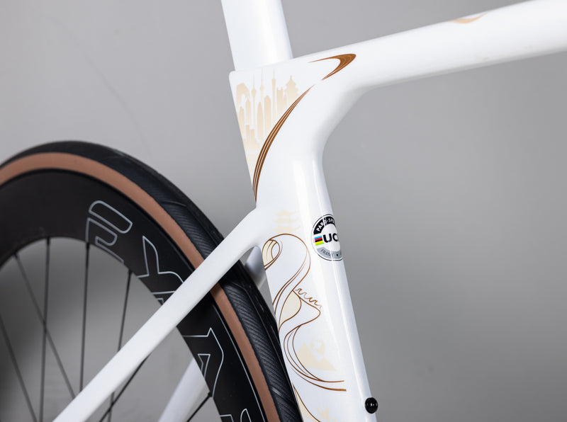 Load image into Gallery viewer, Pardus Spark RS Silk Road Limited Edition 105 Di2 With Carbon Wheel
