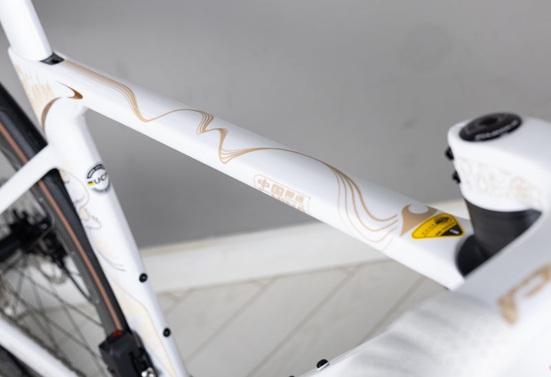 Load image into Gallery viewer, Pardus Spark RS Silk Road Limited Edition 105 Di2 With Carbon Wheel
