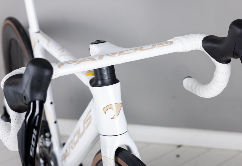 Load image into Gallery viewer, Pardus Spark RS Silk Road Limited Edition 105 Di2 With Carbon Wheel
