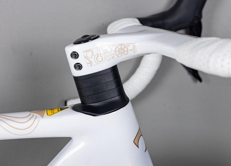 Load image into Gallery viewer, Pardus Spark RS Silk Road Limited Edition 105 Di2 With Carbon Wheel
