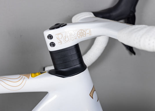 Pardus Spark RS Silk Road Limited Edition 105 Di2 With Carbon Wheel