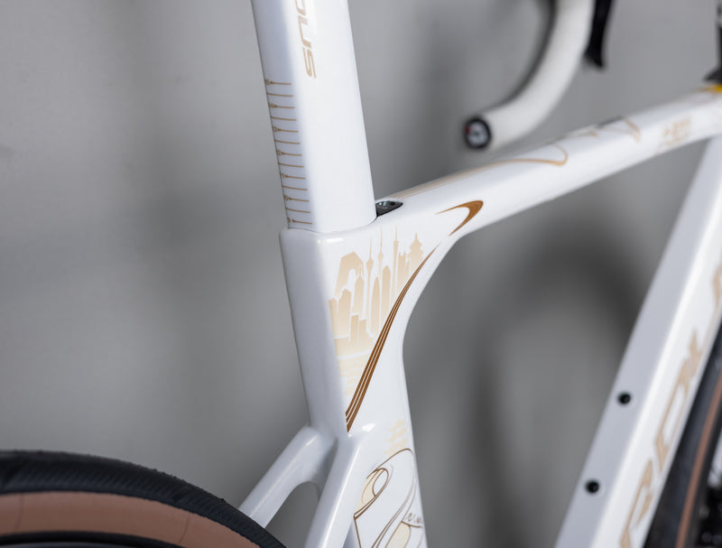 Load image into Gallery viewer, Pardus Spark RS Silk Road Limited Edition 105 Di2 With Carbon Wheel
