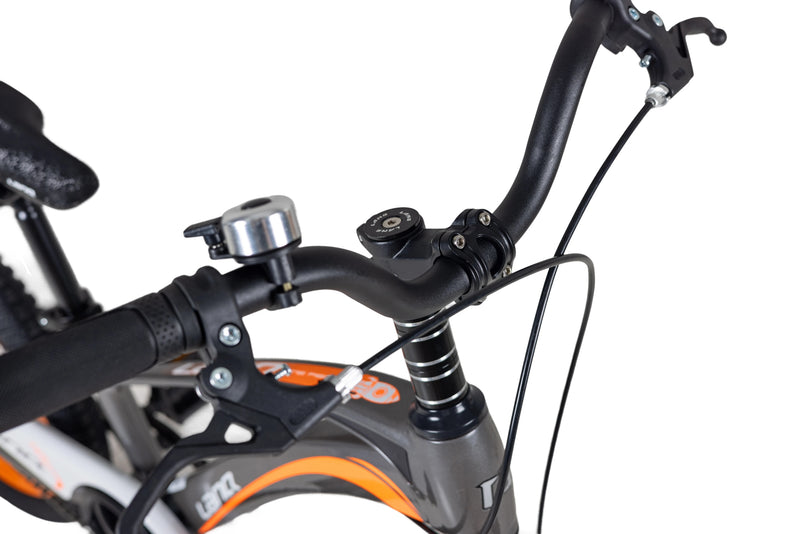 Load image into Gallery viewer, LanQ MG Magnesium Alloy 20 inch Kids Bike 3-Spokes 2081
