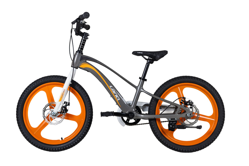 Load image into Gallery viewer, LanQ MG Magnesium Alloy 20 inch Kids Bike 3-Spokes 2081
