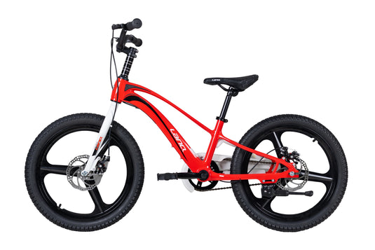 LanQ MG Magnesium Alloy 20 inch Kids Bike 3-Spokes 2081